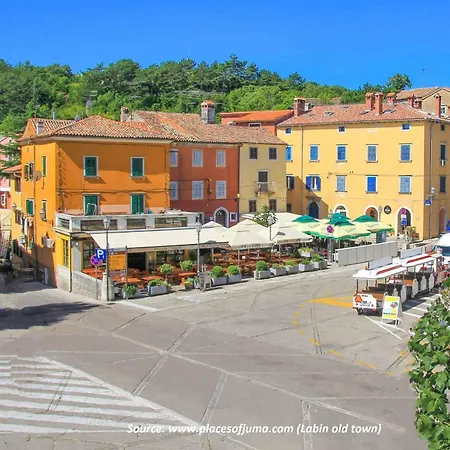 David - Pet Friendly - New For 9 Person Labin (Istria)